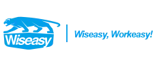 Wiseasy logo